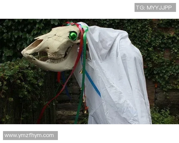 你不知道的凯尔特人:十大冷知识大揭秘 你不知道的凯尔特人:十大冷知识大揭秘